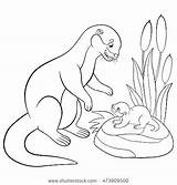 Otter Coloring Pages River Mother Drawing Baby Outline Cute Color Daughter Vector Clip Getcolorings Printable Illustrations Looks Getdrawings Similar sketch template