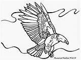 Aguila Burung Mewarnai Elang Rajawali Adler Aguilas Aigle Garuda Bald Soaring Pintar Pintarcolorear Warnai Clipartmag Ausmalen águila Kartun Colorier Imagen sketch template