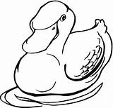 Coloring Duck Pages Ducks Duckling Clipart Color sketch template