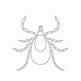 Tick Coloring Cartoon Sketch Pages Parasite Template sketch template