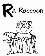 Raccoon Coloring Pages Color Racoon Printable Everfreecoloring Getcolorings Netart sketch template