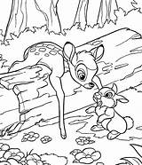 Bambi Colorear Thumper Coloriages Faline Plays Gratuitamente Seonegativo Wonder sketch template