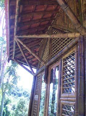pin  bamboo  twig awningspergolas