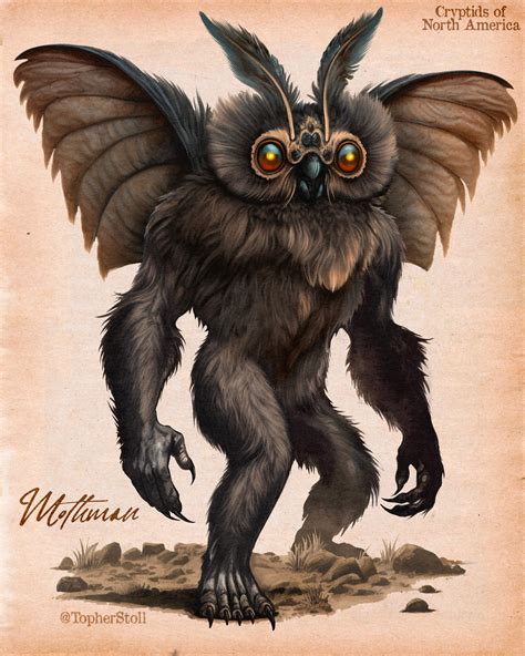 mothman naturalist illustration cryptid  christopher stoll