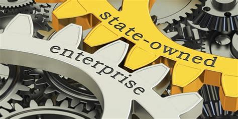 state owned enterprise soe assignment point