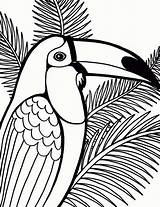 Coloring Parrot Tree Coconut Printable Adults Colouring Bird Dessin Sheets Flying Animal Paper Colorings Getdrawings Visit Getcolorings Svg  sketch template