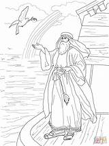 Noah Ausmalbild Arche Taube Noahs Inspirierend Malvorlagen Ausmalen Ausmalbilder Kehrt Schnabel Zweig Olive sketch template