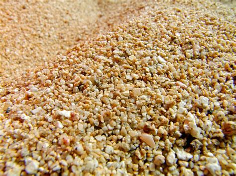 world   grain  sand