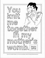 Knit Womb sketch template
