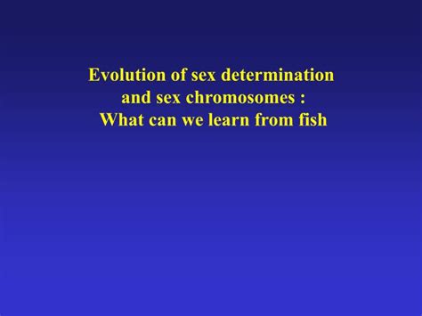 Ppt Evolution Of Sex Determination And Sex Chromosomes