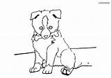 Puppy Sheltie Sheepdog Shetland Dogs sketch template
