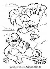 Affen Ausmalen Ausmalbild Malvorlagen Ausdrucken Monkey Dschungel Zeichnungen Drucken Thema Gemerkt sketch template