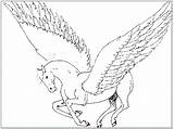 Pegasus Coloring Pages Adults Getdrawings Library Clipart Getcolorings Popular Line sketch template