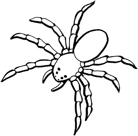 printable spider coloring pages  kids coloring pages