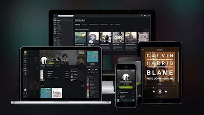 spotify  months subscription
