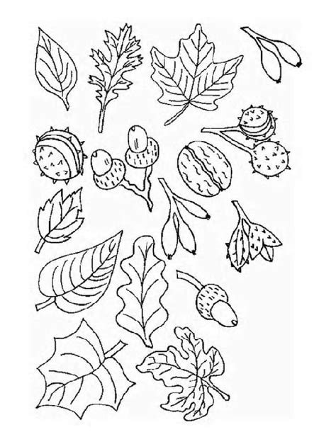 printable leaf coloring pages   printable leaf
