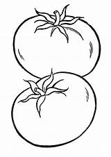 Coloring Pages Tomato Two sketch template