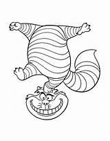 Cheshire Gato Colorear Divertido Balancing Act Engraçado Alicia Dibujosonline Colorironline Maravillas sketch template