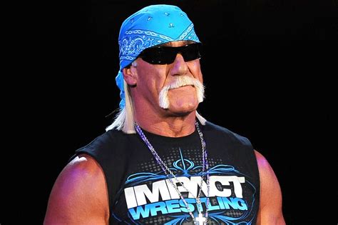Courts Award Hulk Hogan 115 Million In Gawker Invasion Of Privacy Law