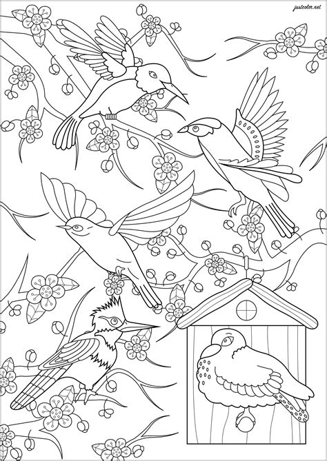 cherry blossom coloring pages tree coloring page flower coloring pages