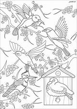 Oiseaux Cerisier Uccelli Colorare Adulti Coloriage Japonais Aves Coloriages Justcolor Adultes Japon Adultos Dessiner Difficiles Coloriez Cinq Devant Volant Pict sketch template