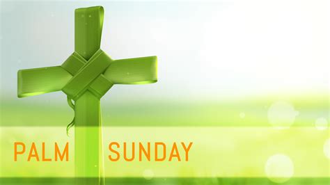palm sunday adult catechesis christian religious literacy