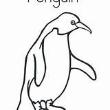 Penguin Humboldt sketch template