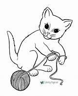Coloring Cat Printable Pages Cats Color sketch template