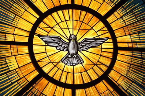 holy spirit leads  truth renews  earth emboldens pope