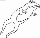Frog Coloring Jump Just Wecoloringpage sketch template