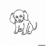 Chien Chiot Jecolorie sketch template