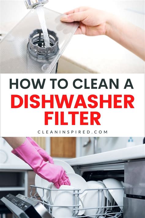 clean  dishwasher filter properly   dishwasher