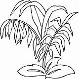 Plants Coloring Pages Rainforest Jungle Ocean Drawing Sea Plant Grass Trees Underwater Getcolorings Bamboo Realistic Printable Getdrawings Print Color Clipartmag sketch template