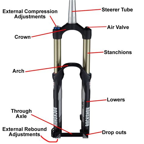 suspension  anatomy   suspension system blister bike riding benefits suspension