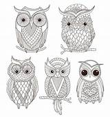 Chouette Hibou Coloriage Imprimer Hiboux Animaux sketch template