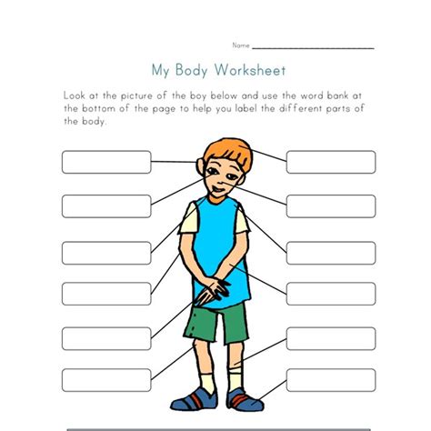 body parts worksheet  kids  kids network