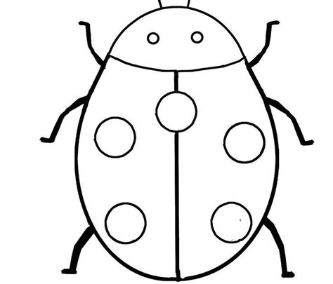 coloring pages  kids insects  printable bug coloring pages