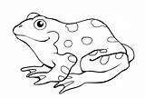 Frog Coloring Pages Kids Printable Color Print Frogs Related Posts sketch template