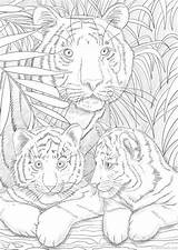 Tigers Tigre Malen Erwachsene Zahlen Imprimer Vorlagen Favoreads Ausdrucken Wildtiere Desenhos Malvorlagen Coloriages Epingle Adultos Malbuch Zeichenvorlagen Weihnachtskatzen Colorir Msa sketch template