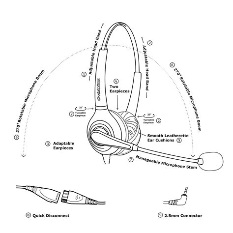 anatomy  headphones