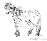 Tinker Paard Paarden Horses sketch template