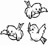 Coloring Bird Pages Printable Kids Birds Printablee Adult Via sketch template