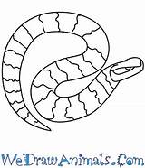 Cottonmouth Snake Drawing Draw Step Tutorial Print Getdrawings sketch template