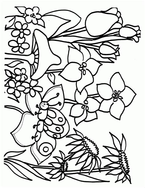 colouring pages nature coloring home