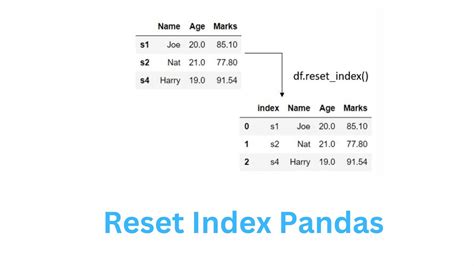 reset index  pandas board infinity