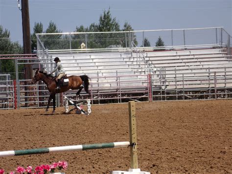 horse shows continue  county fairgrounds sheridan media