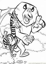 Madagascar Coloring Pages Madagascar2 Book Color Printable Info Colouring Print Coloriage Do Cartoons Birthday Kids sketch template