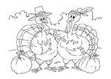 Truthahn Malvorlage Kleurplaat Disegni Kalkoenen Colorare Kalkoen Malvorlagen Turkeys Tacchini Schulbilder sketch template