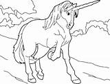 Unicorns Adults Lineart Pegasus sketch template