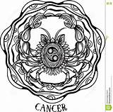 Cancro Disegnata Vettore Zodiaco Dragen Linje Konst sketch template